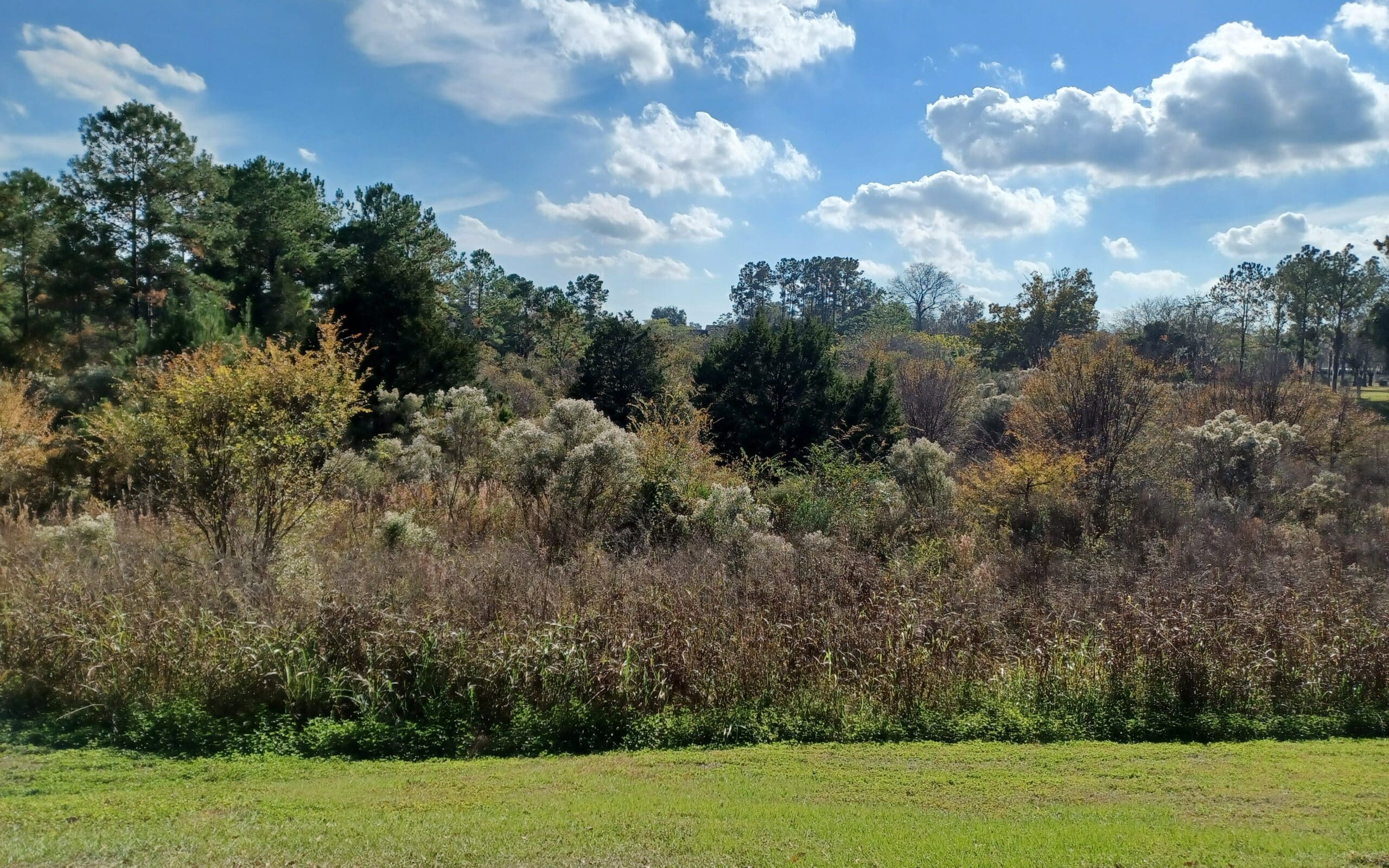 Scott Springs Park-carriage hill